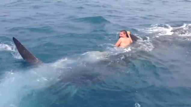 Βούτηξε στο νερό και καβάλησε ένα φαλαινοκαρχαρία!