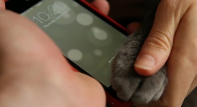 Αποτύπωμα γάτας ξεκλειδώνει το iPhone 5S