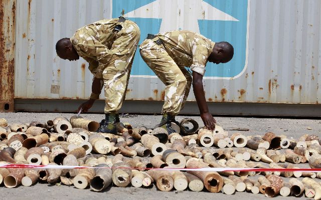 Κατέσχεσαν ελεφαντόδοντο στην Κένυα