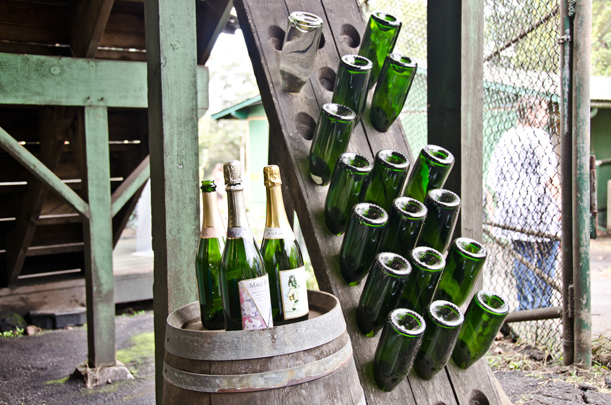 champagne1.jpg