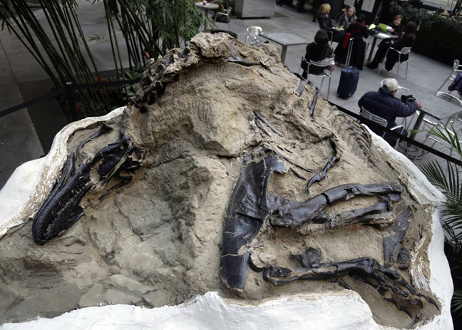 dinosaur9.jpg