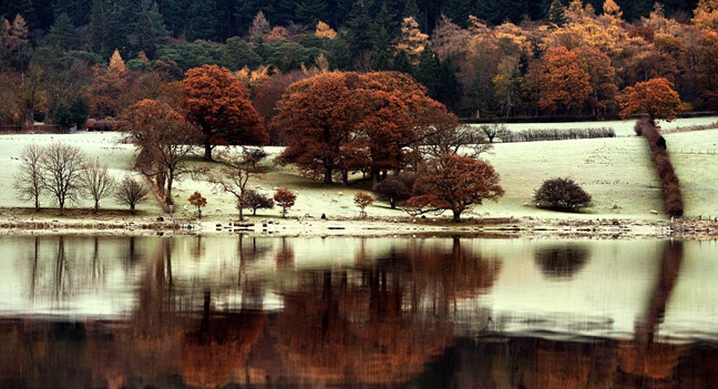 autumn3.jpg