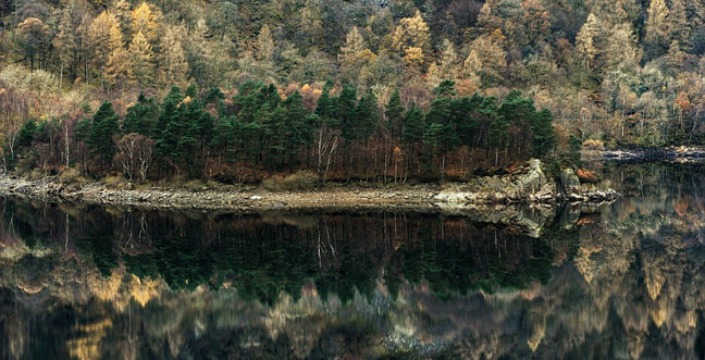 autumn9.jpg