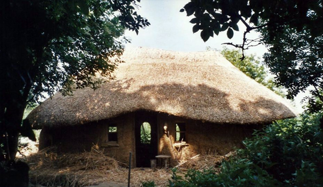 farm6.jpg