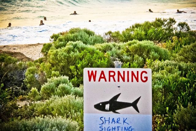 Νεκρός άνδρας στην Αυστραλία έπειτα από επίθεση καρχαρία
