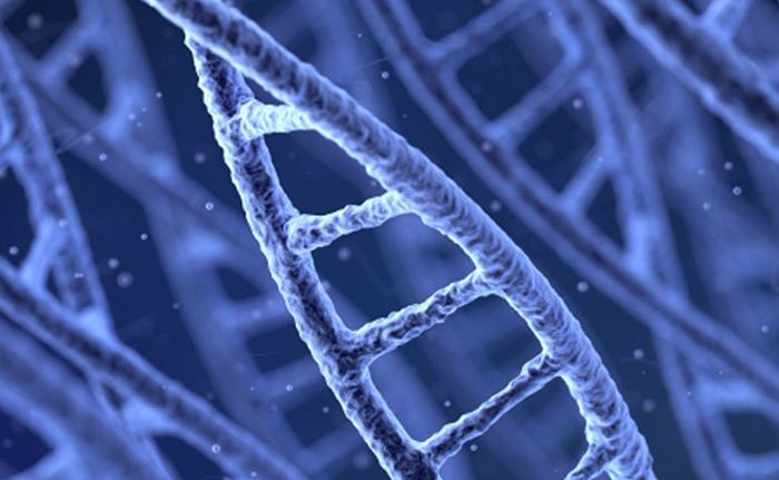 Επιστήμονες εντόπισαν το γονίδιο της νεότητας
