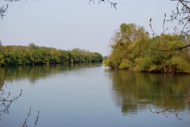 Απαγορεύτηκε το ψάρεμα στον ποταμό Έβρο