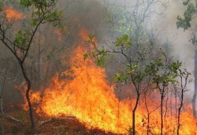 Στις φλόγες το δάσος που βρίσκεται περιμετρικά της Άρτας