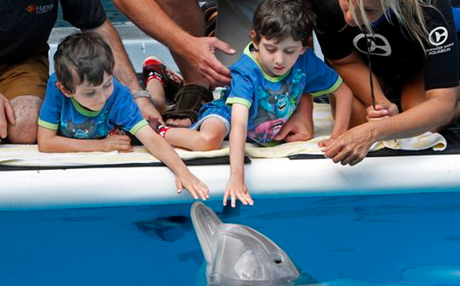 Τα αγόρια με ένα πόδι συνάντησαν το δελφίνι χωρίς ουρά