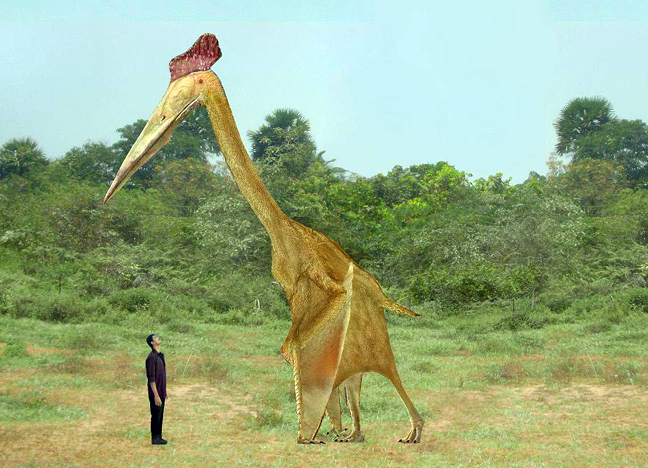Hatzegopteryx