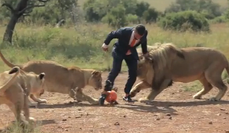 Παίζοντας μπάλα με τα λιοντάρια!