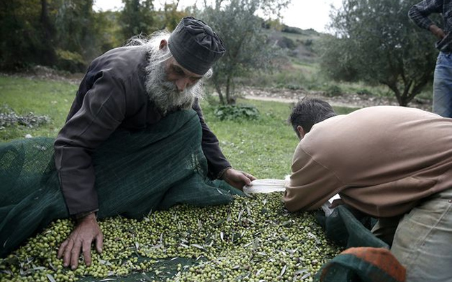 Λάδι, μέλι και αυγοτάραχο για τη… σωτηρία της Ελλάδας