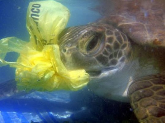 «Να μειωθεί η χρήση της πλαστικής σακούλας»