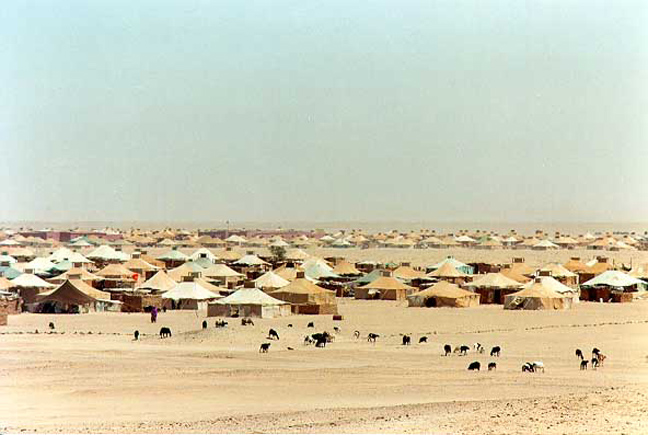 Δυτική Σαχάρα