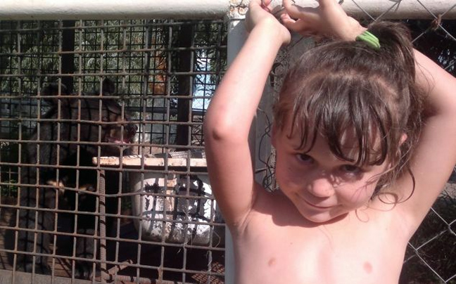 Αρκούδα έφαγε το χέρι 3χρονης σε ζωολογικό κήπο στη Ρωσία