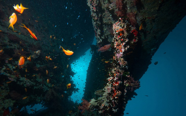 Ένα κομμάτι της ιστορίας στο βυθό της θάλασσας 