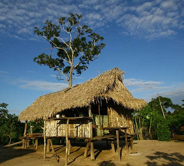 Στα άδυτα μιας άγνωστης φυλής του Αμαζονίου