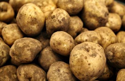 Δεσμεύτηκαν 300 κιλά πατάτες στον Πειραιά