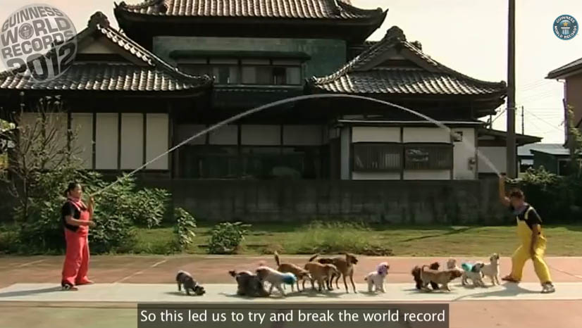 Δεκατρείς σκύλοι πηδάνε σχοινάκι