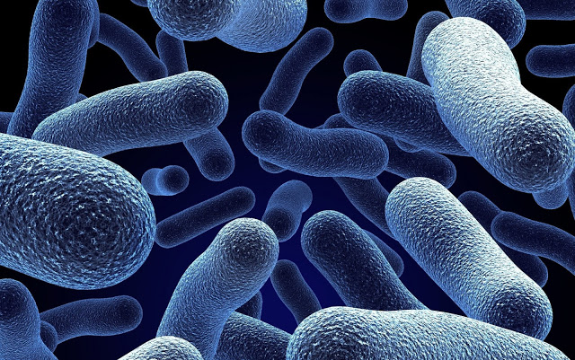 Αντικείμενα ομορφιάς γεμάτα… βακτήρια