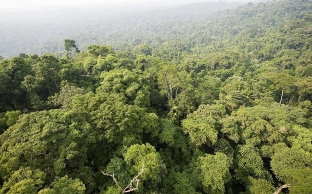 Τεράστιο παρατηρητήριο θα κατασκευαστεί στη λεκάνη του Αμαζονίου