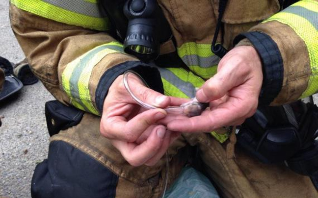 Πυροσβέστες διέσωσαν χάμστερ και το έβαλαν σε οξυγόνο