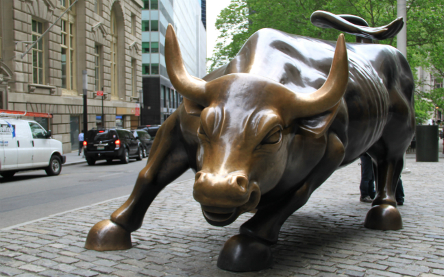 Charging Bull