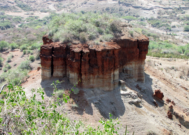  Τα Απολιθώματα του Ολντουβάι