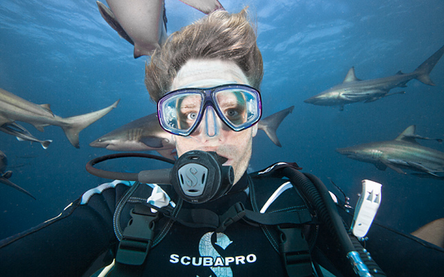 Βάζοντας selfie με καρχαρίες