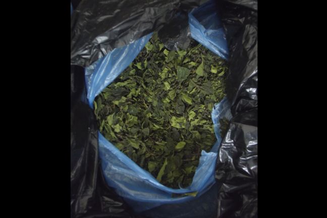 Μεγάλη ποσότητα ναρκωτικού khat βρέθηκε στη Ρόδο
