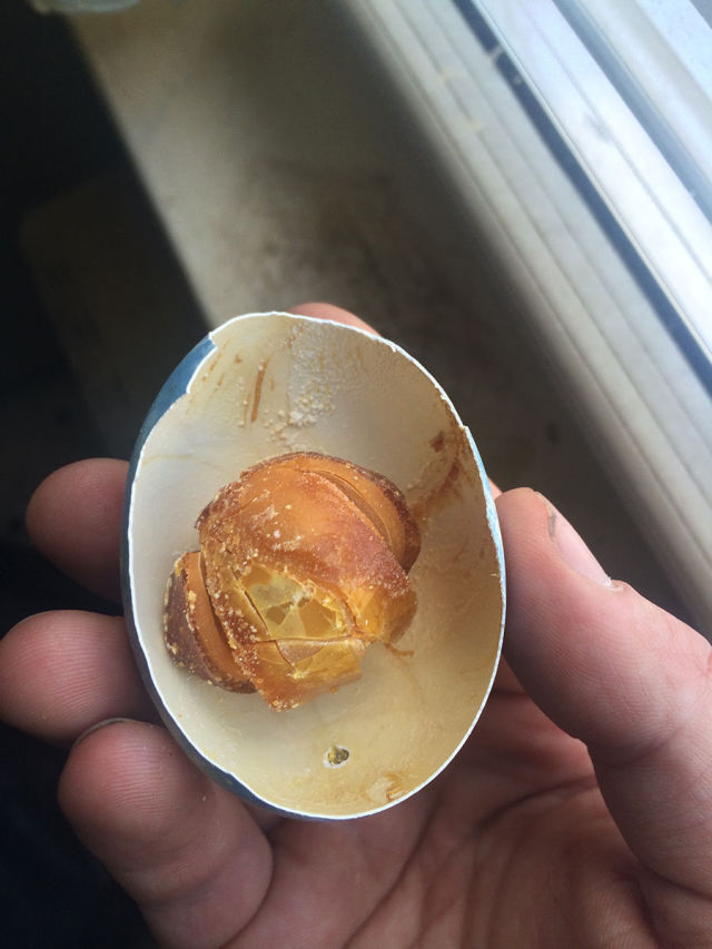 Ένα πασχαλινό αυγό μετά από 25 χρόνια