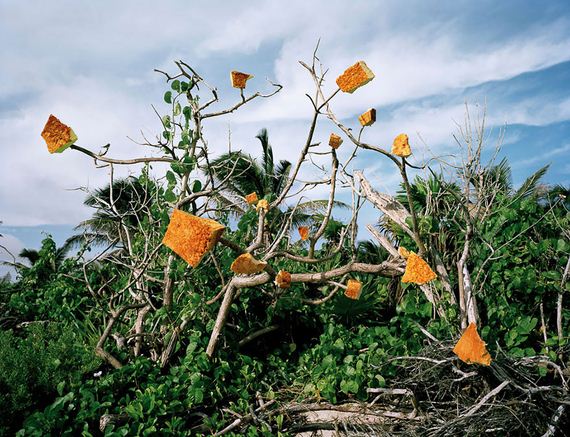 Τα σκουπίδια της Καραϊβικής σε υπαίθριο μουσείο