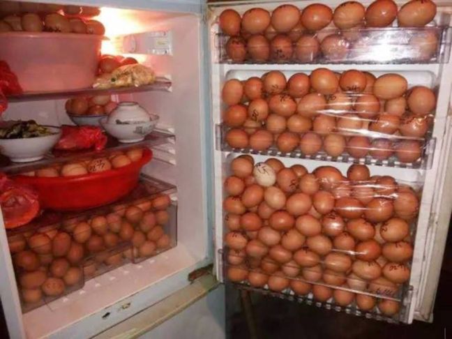 Φύλακας εργοστασίου έκλεψε πάνω από 1.000 αυγά