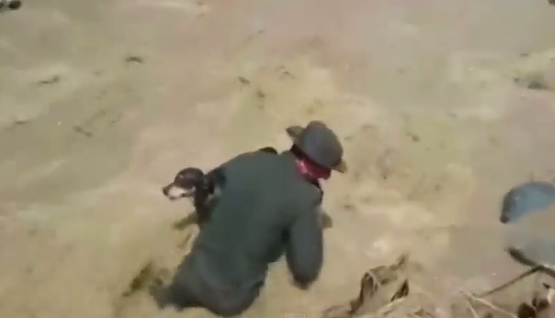 Συγκλονιστικό βίντεο διάσωσης σκύλου μέσα από ορμητικά νερά!