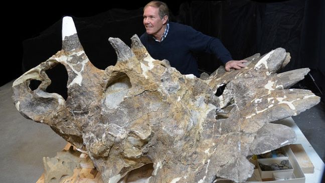 Απολίθωμα αλλόκοτου δεινόσαυρου ανακαλύφθηκε στον Καναδά