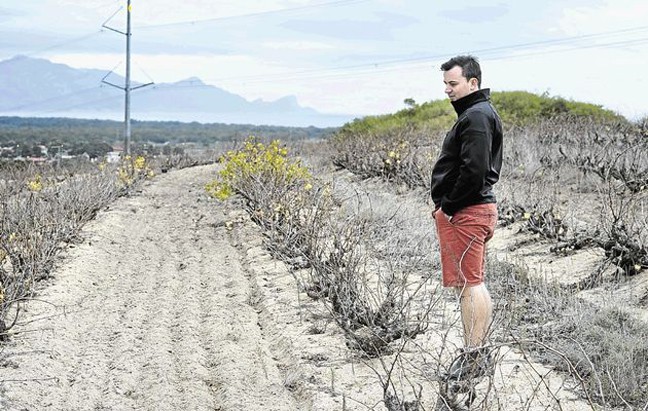 Cheninblan3 | Lamianow.gr