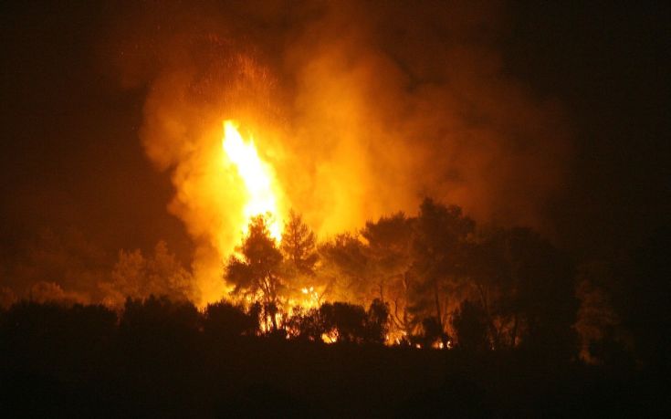 Μεγάλη φωτιά κατακαίει πευκοδάση στην Σκόπελο