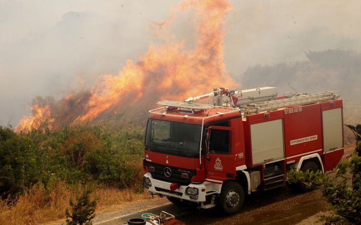 Μεγάλη φωτιά σε πευκοδάσος στη Μυτιλήνη
