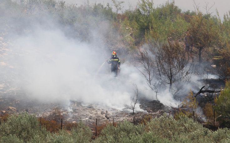 Σε εξέλιξη πυρκαγιά στα Καλύβια