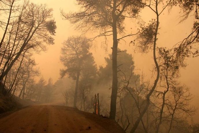 Εκκενώθηκαν χωριά από τη μεγάλη φωτιά στη Νεάπολη Λακωνίας