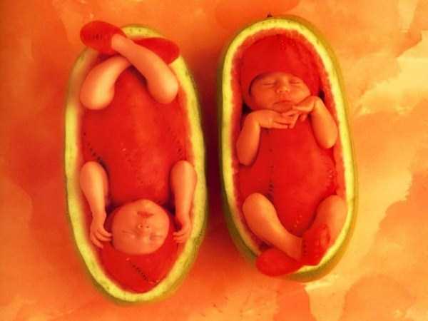 amazing-watermelon-carvings-11