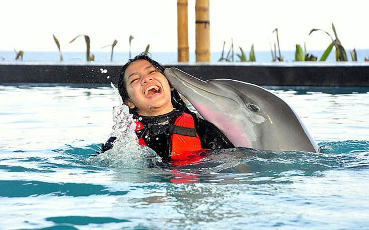 Δελφίνια κινδυνεύουν με τύφλωση από το χλώριο πισίνας