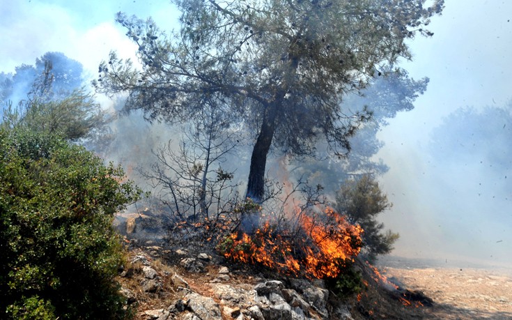 Υπό μερικό έλεγχο φωτιά στη Μεγάλη Παναγιά Χαλκιδικής