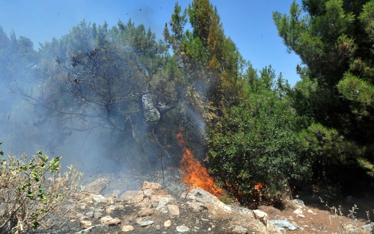 Μεγάλη πυρκαγιά στην Κερατέα