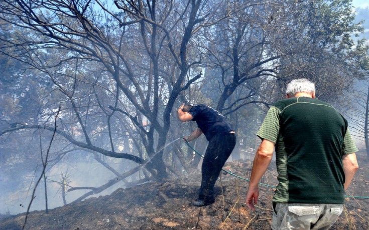 ΜΕΓΑΛΗ ΦΩΤΟΓΡΑΦΙΑ ΦΩΤΙΑ ΚΑΡΕΑΣ