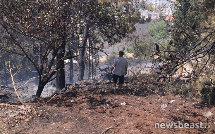 ΦΩΤΙΑ ΚΑΡΕΑΣ ΠΥΡΚΑΓΙΑ ΠΥΡΟΣΒΕΣΤΗΣ