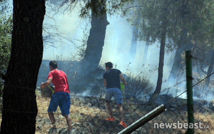 Βίντεο και νέες φωτογραφίες από την πυρκαγιά στον Καρέα