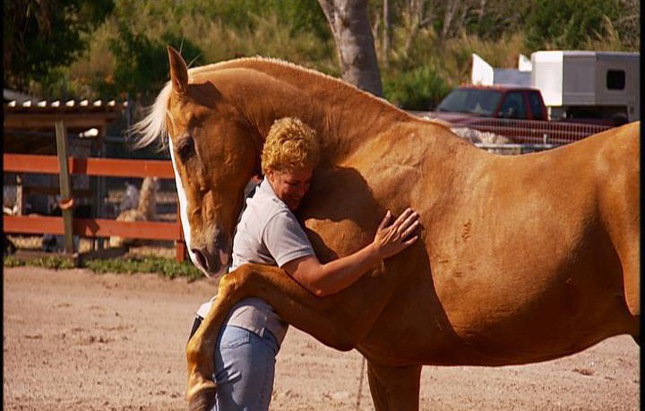 11831738_576377595833406_2022109253928837518_n