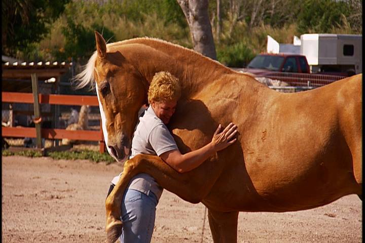 Αγκαλιά με το άλογο