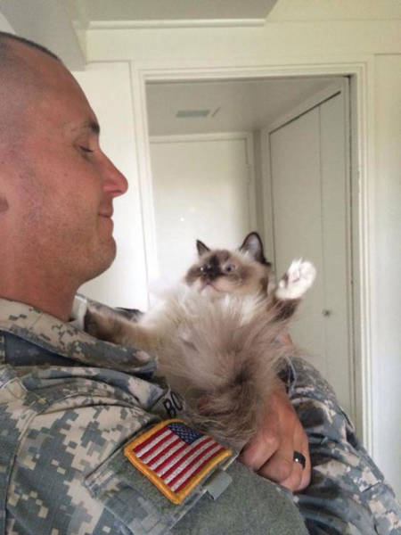 soldiers_and_cats_03